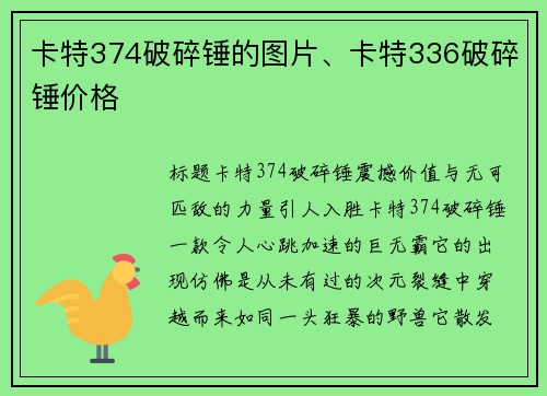卡特374破碎锤的图片、卡特336破碎锤价格