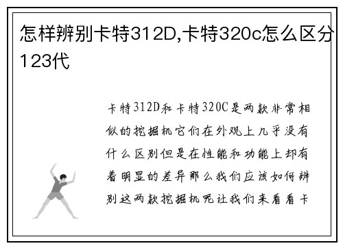 怎样辨别卡特312D,卡特320c怎么区分123代